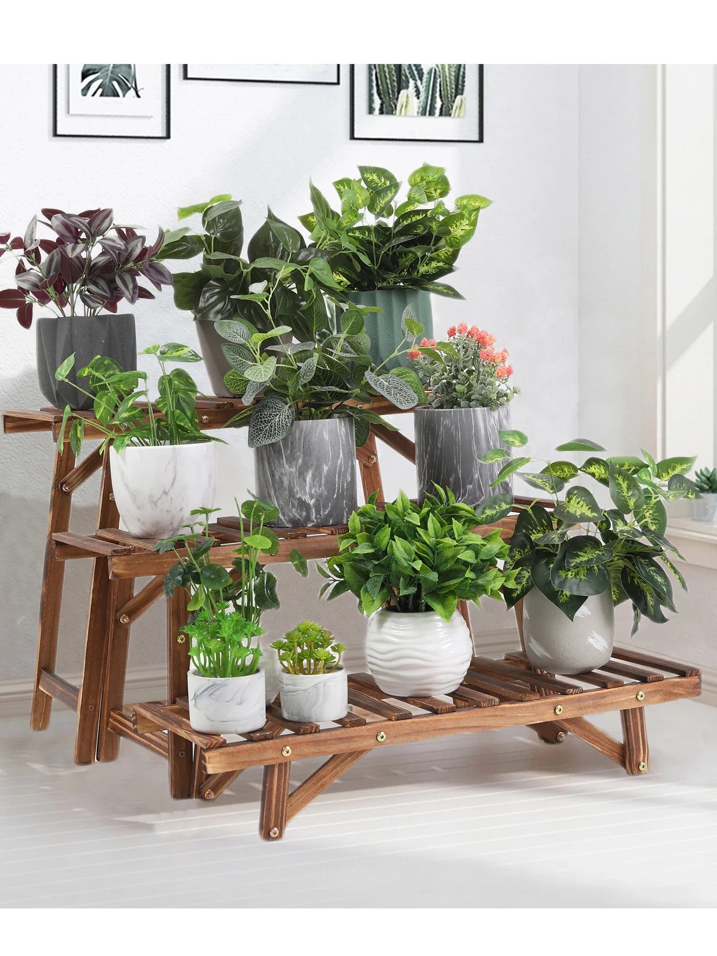 Plant Display Shelves