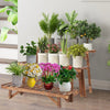 Plant Display Shelves