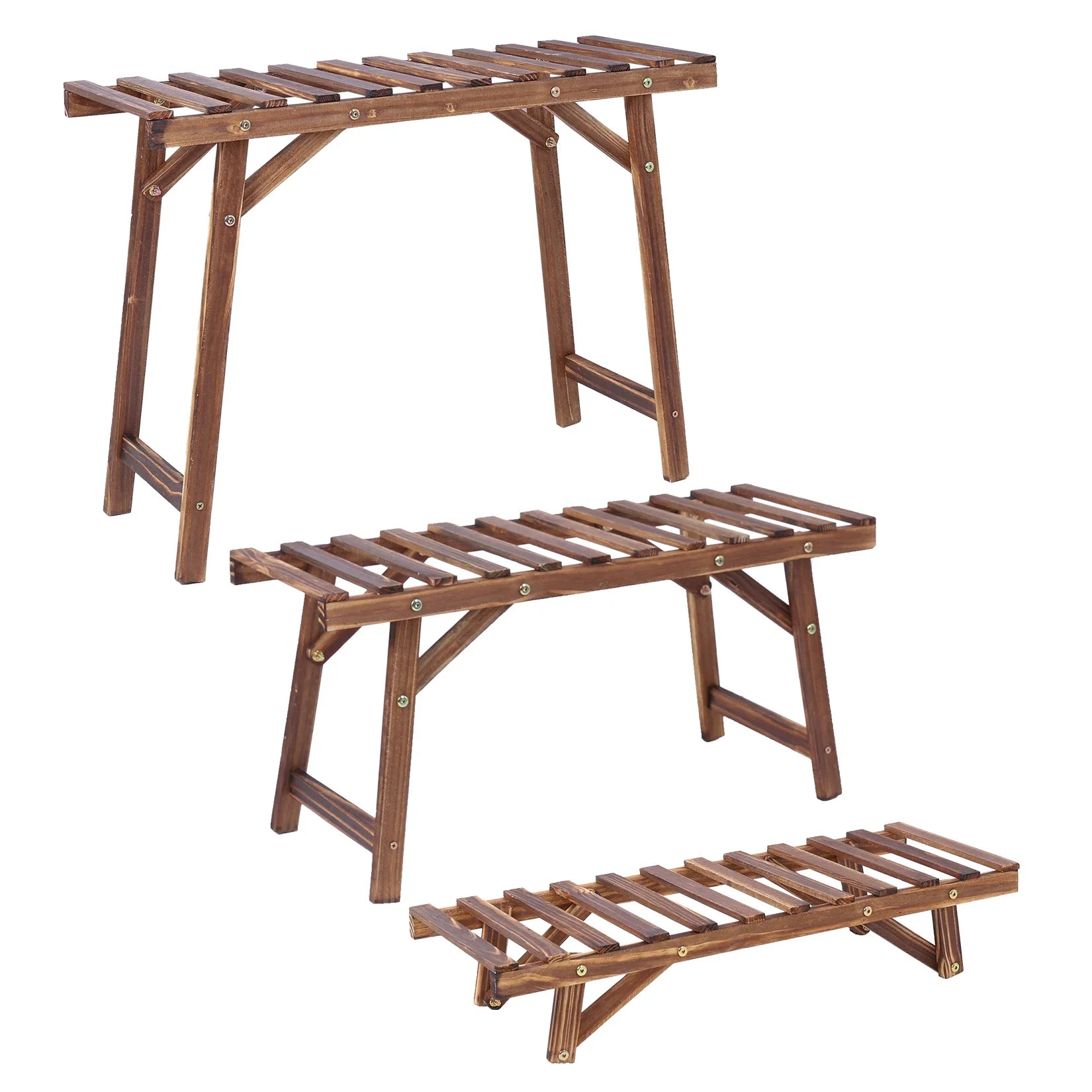 Plant Display Shelves