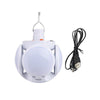 Solar Outdoor Lights